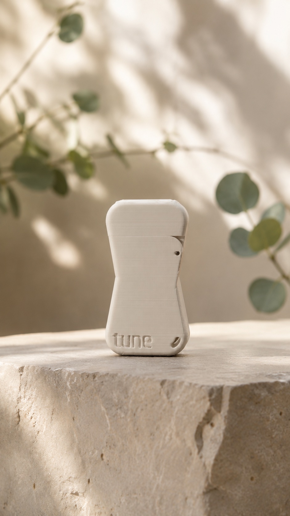 The white Tune Key standing on a sunlit stone ledge with eucalyptus leaves behind